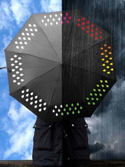 일상화보 컬러레인 3단 우산